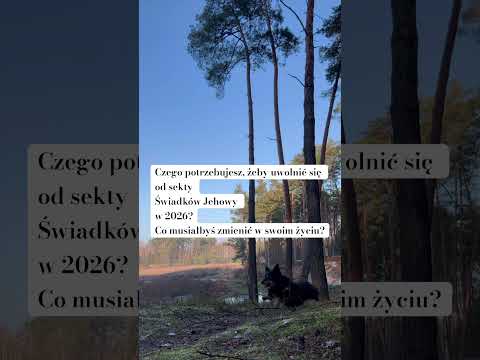 Odejście od sekty w 2026? Jak byście to zrobili?